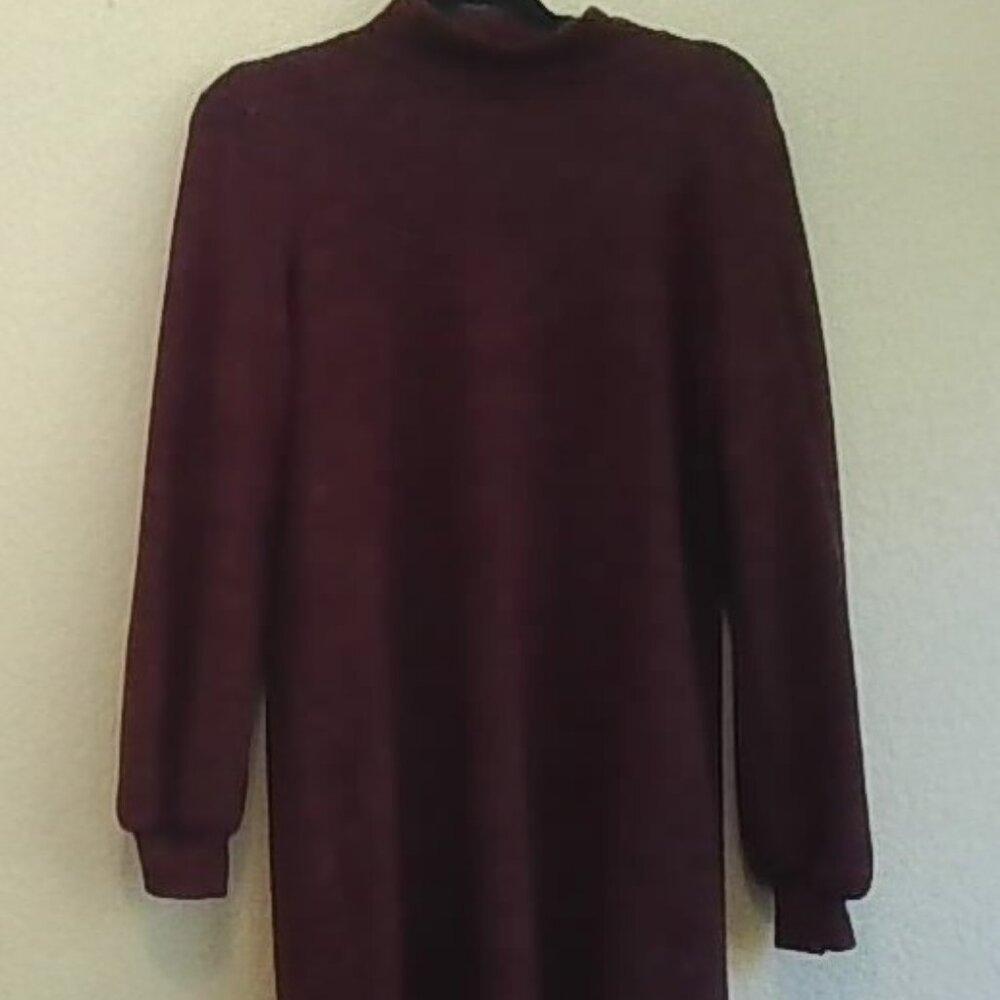 Burgundy Turtleneck Long Sleeve Dress